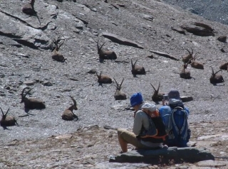  Ruta por Bourg St Maurice